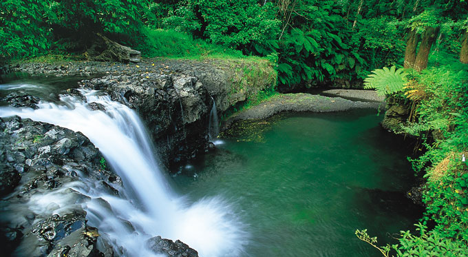 Hiking tours Samoa, waterfall tours, tourist things